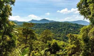 Carbono Retido de Biodiversidade - Serviços Ambientais - Crédito da Foto Divulgação